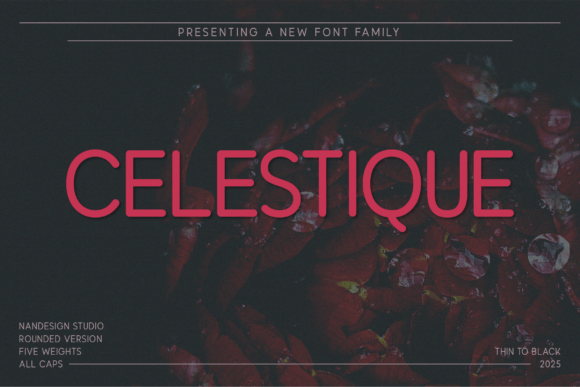 Celestique Rounded: The Modern Typeface for Scroll-Stopping Marketing
