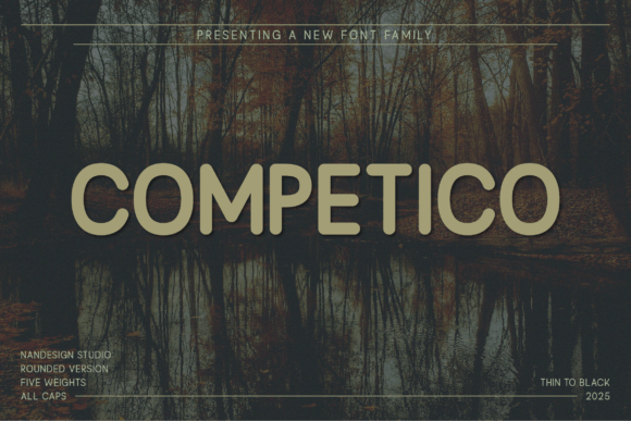 Competico Rounded: A Warm Sans Serif for Modern Editorial Design