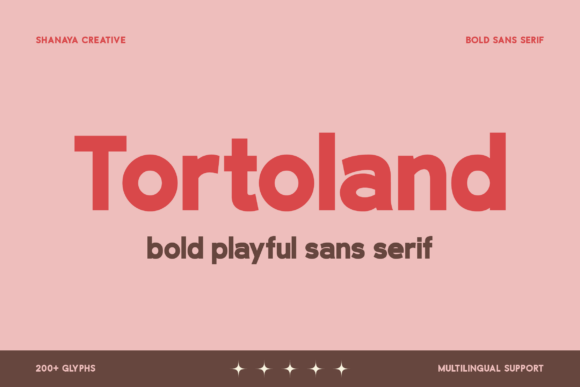 Tortoland: A Bold Sans Serif for Creative Confidence